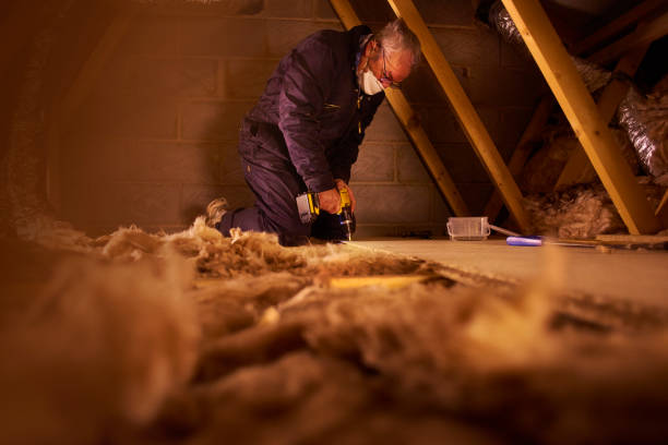 Best Cellulose Insulation in Danbury, TX