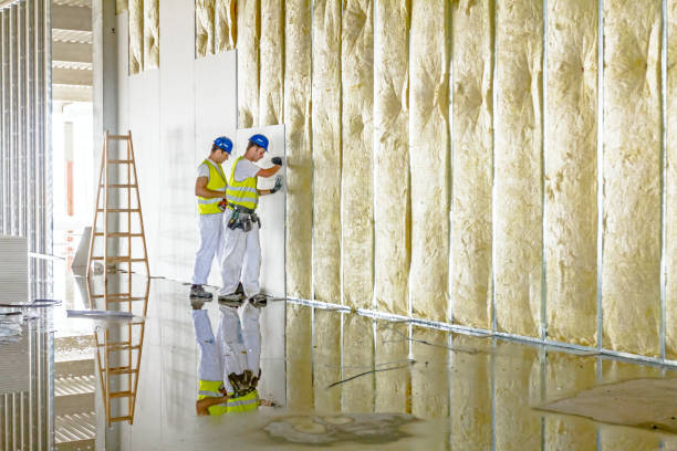 Best Fiberglass Insulation in Danbury, TX